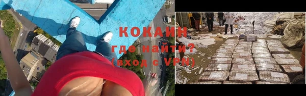 прущие грибы Горно-Алтайск