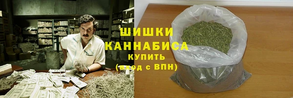 дживик Горнозаводск