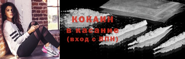 дживик Горняк