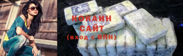 дживик Горняк