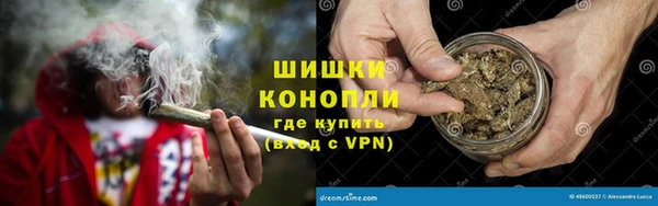 прущие грибы Горно-Алтайск