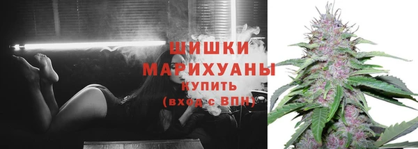 дживик Горняк