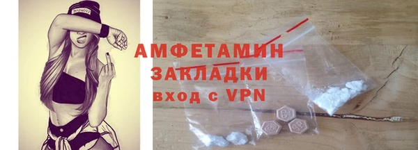прущие грибы Горно-Алтайск