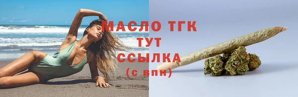 дживик Горняк