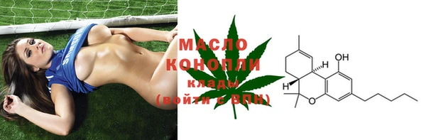 дживик Горняк