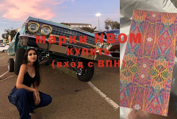 прущие грибы Горно-Алтайск