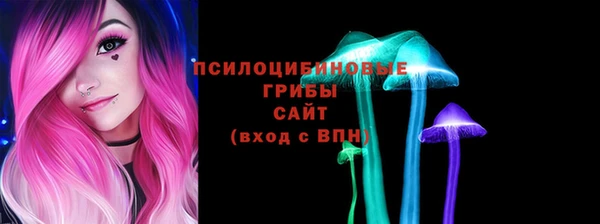 прущие грибы Горно-Алтайск
