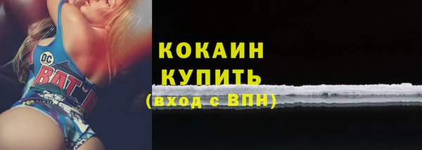 прущие грибы Горно-Алтайск