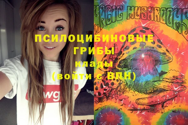 прущие грибы Горно-Алтайск