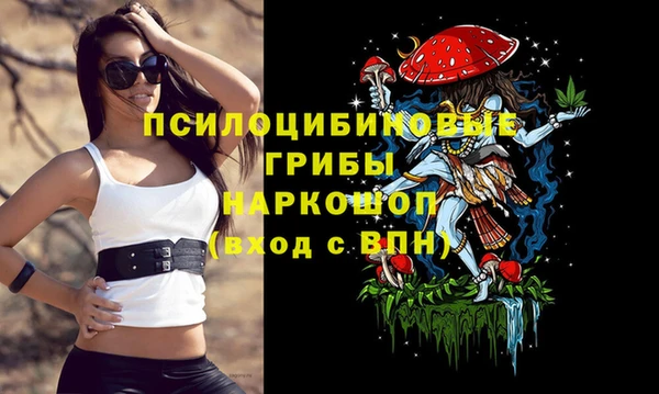дживик Горнозаводск
