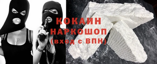 дживик Горняк