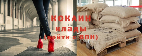 дживик Горняк