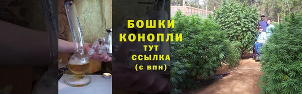 дживик Горняк